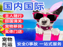 浦东航空运输国际宠物托运 【国