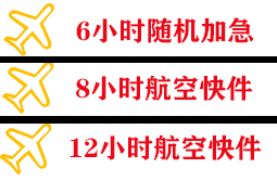 浦东航空运输快递公司,专业空运当天件
